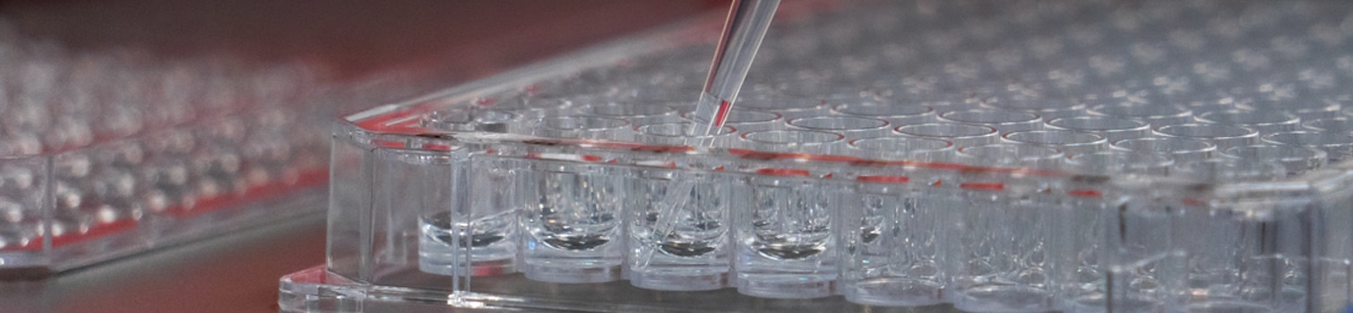 Cell-Based Assay Header